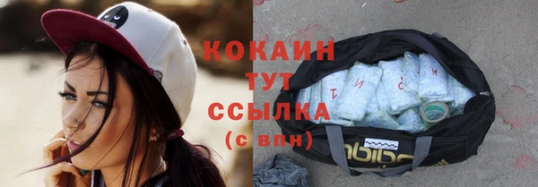 сатива Кстово