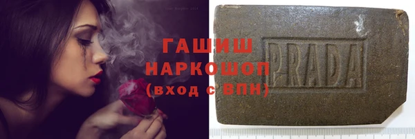 сатива Кстово