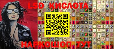 крисы Абакан