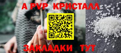 крисы Абакан