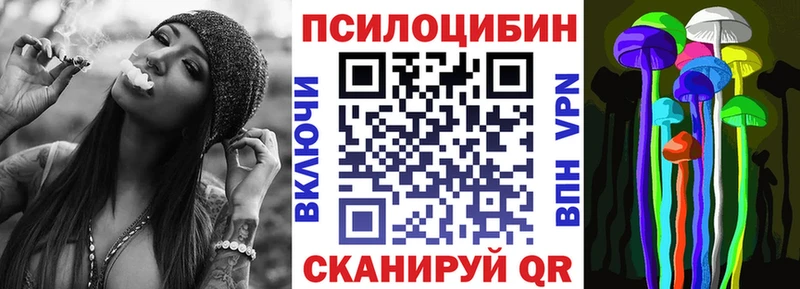 наркошоп  Ангарск  Псилоцибиновые грибы Psilocybe 