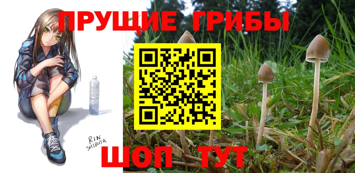 Псилоцибиновые грибы мухоморы  Ангарск  Псилоцибиновые грибы Magic Shrooms 