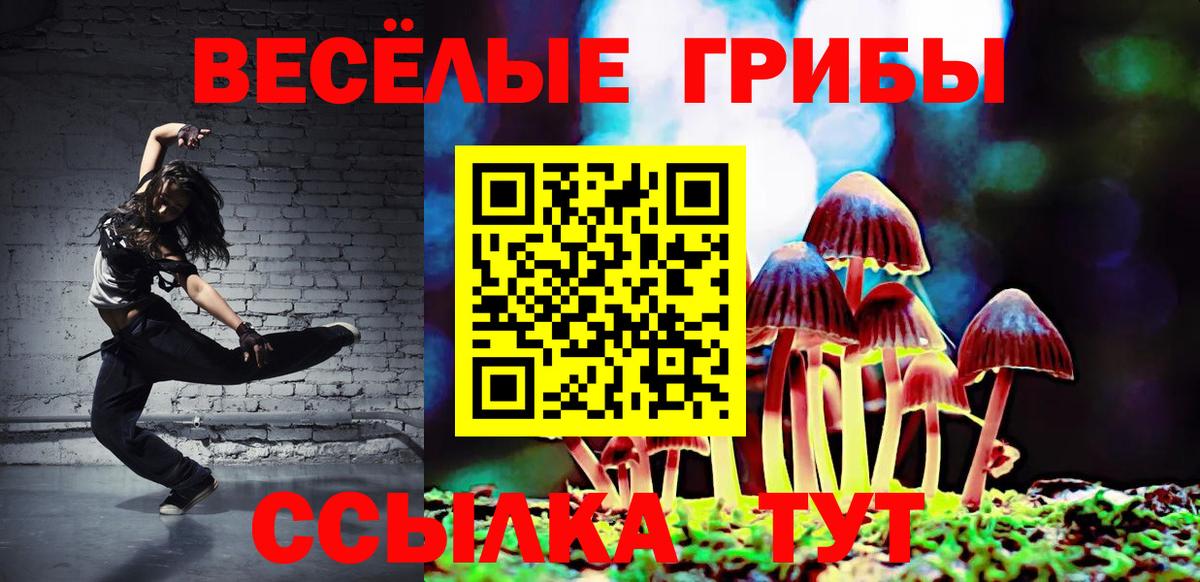 Псилоцибиновые грибы Psilocybine cubensis Ангарск