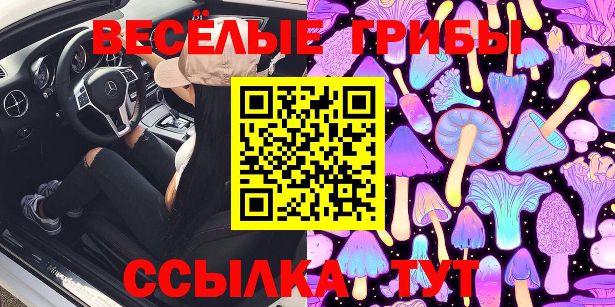 Псилоцибиновые грибы Psilocybine cubensis Ангарск
